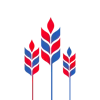 🌾