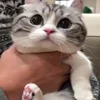 🤗