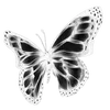 🦋