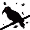 🐦‍⬛