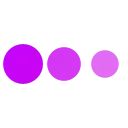🟣