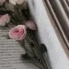 📖