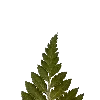 💚