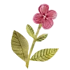 🌺