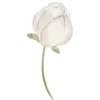 🌷