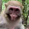 🤣