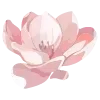 🌺