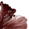 🌺