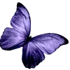 💜