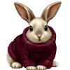 🐰