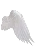 🕊️