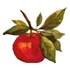 🍎