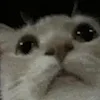 😨