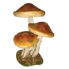 🍄