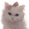 🐈