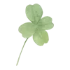 ☘️