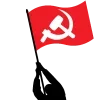 🚩