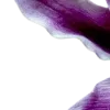 💜