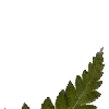 💚