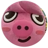 🐷