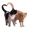 🐈