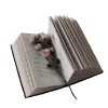 📖