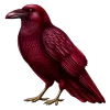 🐦‍⬛️