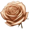 🌺