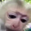 💋
