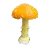 🍄
