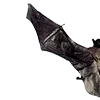 🌫️