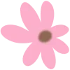 🌸