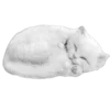 🐱