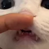 😃