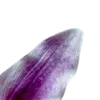 💜