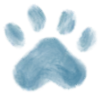 🐾