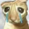 😭