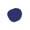🔹