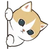 🐱