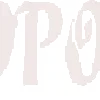 🤍
