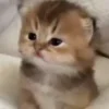 🤍