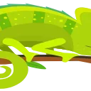 🦎
