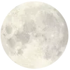 🌕
