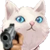 😺