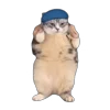 💃