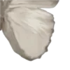 🦋