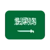 🇸🇦
