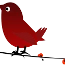 🐦