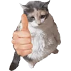 👍