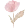 🌷